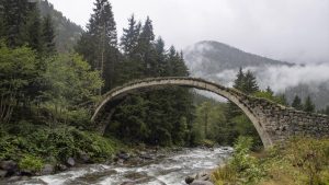 Rize Medyum