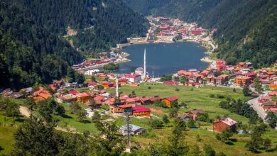 Trabzon Medyum